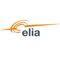 Client Elia - Copperleaf Decision Analytics